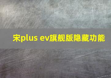 宋plus ev旗舰版隐藏功能